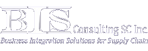 BIS Consulting SC Inc.